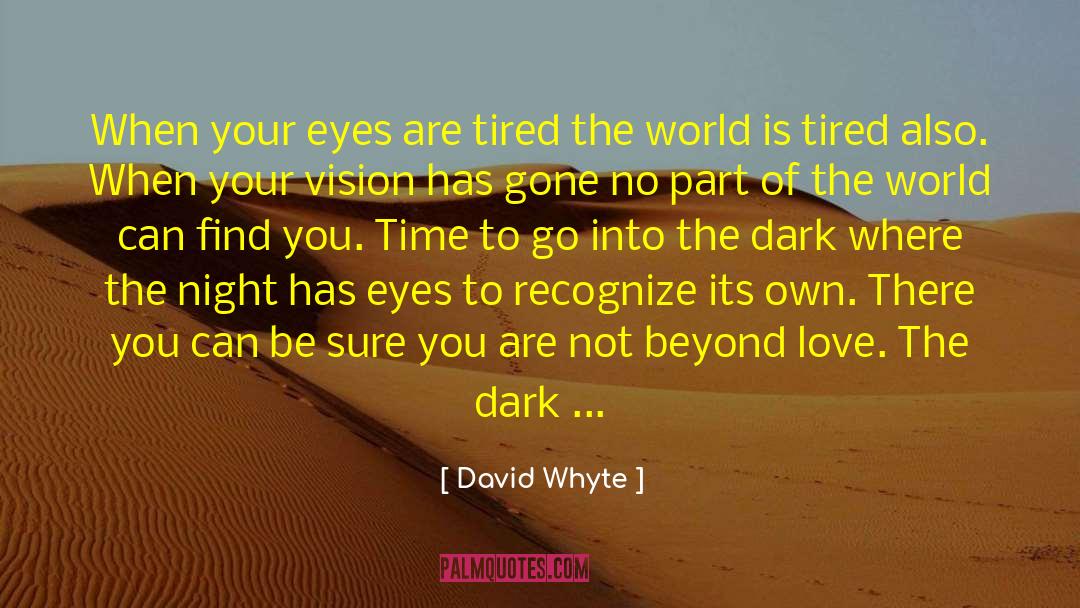 Blacker Than Night Eyes quotes by David Whyte