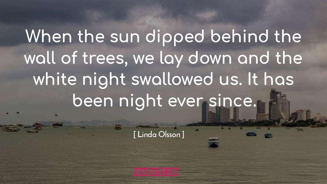 Blackest Night quotes by Linda Olsson