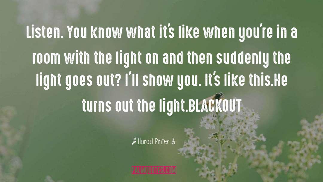 Blackout quotes by Harold Pinter