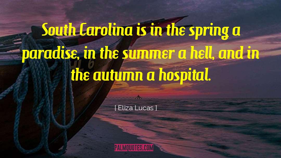 Blacks In The South quotes by Eliza Lucas