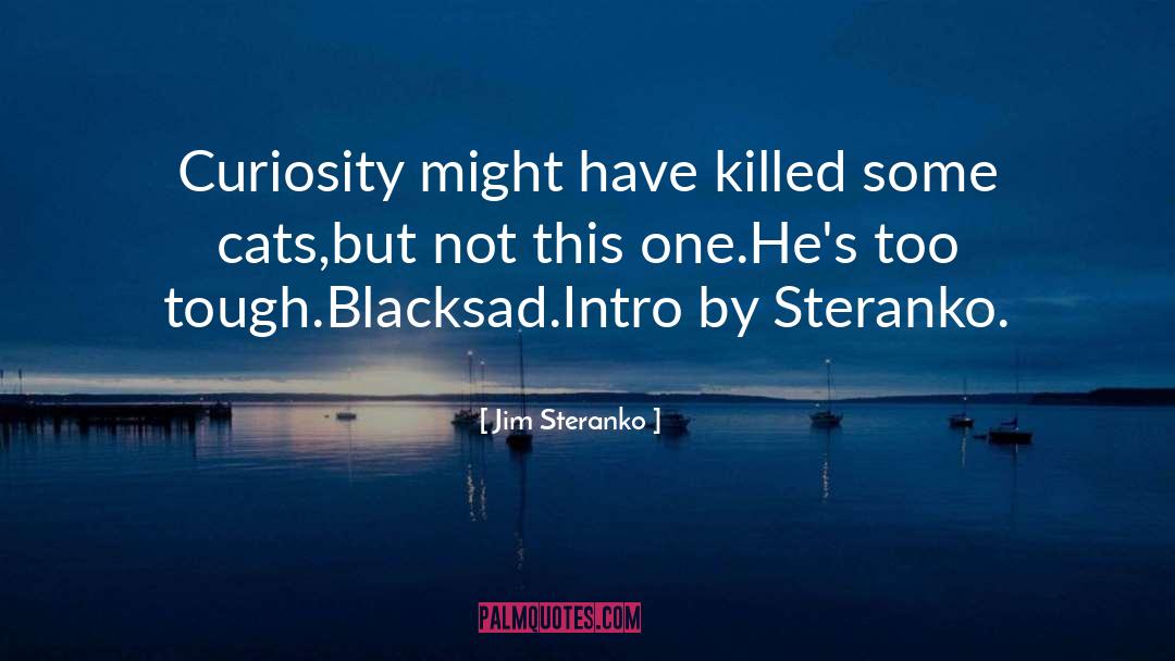 Blacksad quotes by Jim Steranko