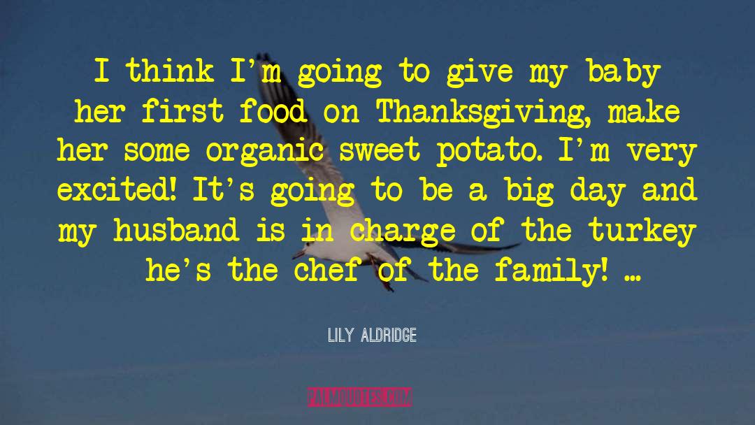 Blackthorn Family quotes by Lily Aldridge