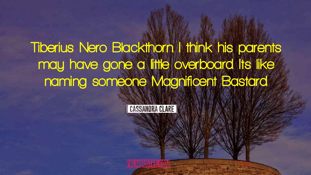 Blackthorn quotes by Cassandra Clare