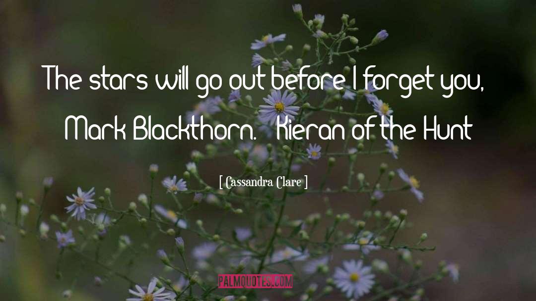 Blackthorn quotes by Cassandra Clare