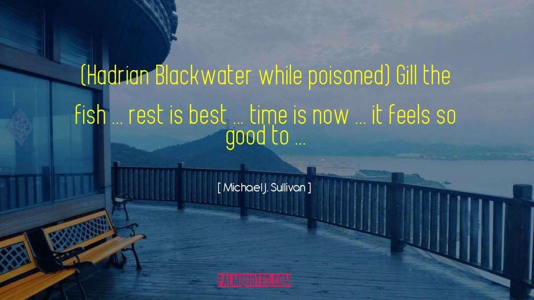 Blackwater quotes by Michael J. Sullivan