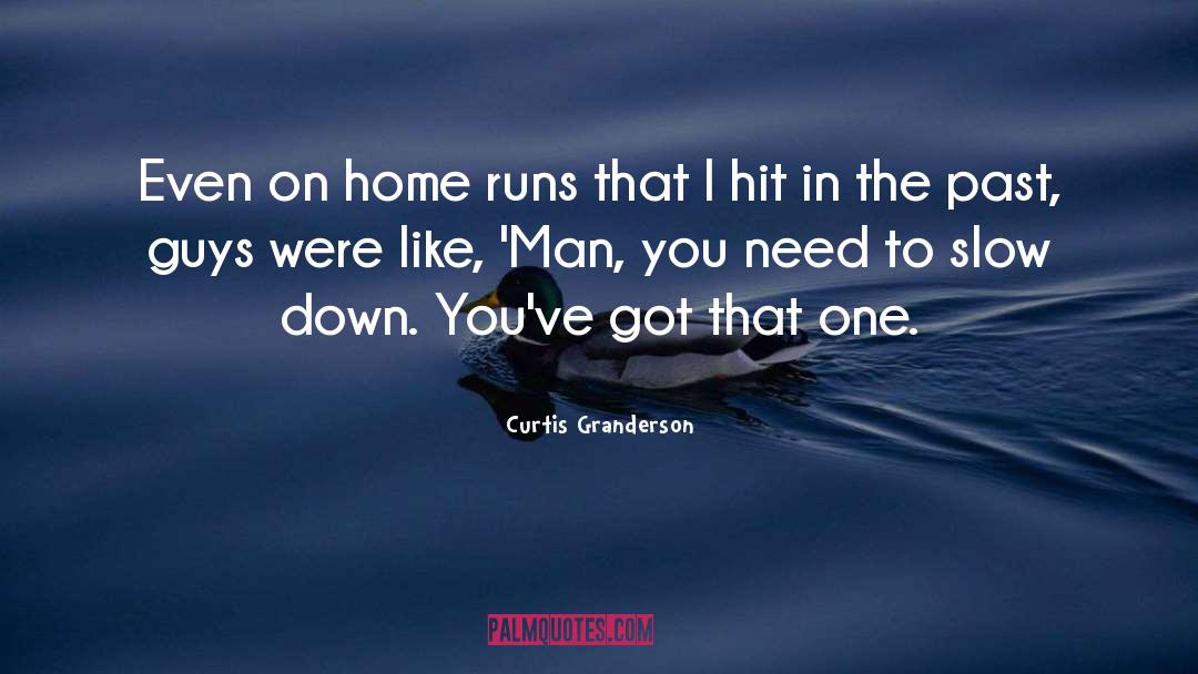 Blackwolf Run quotes by Curtis Granderson