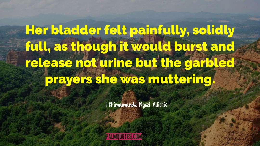 Bladder quotes by Chimamanda Ngozi Adichie