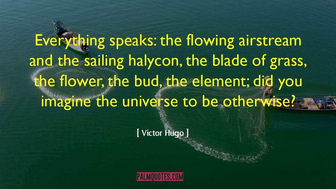 Blade Of Grass quotes by Victor Hugo