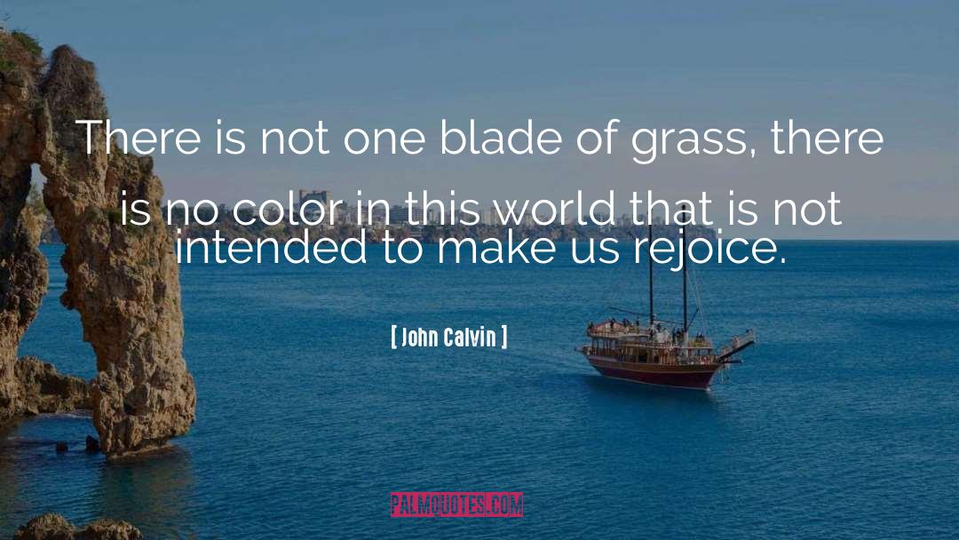 Blade Of Grass quotes by John Calvin