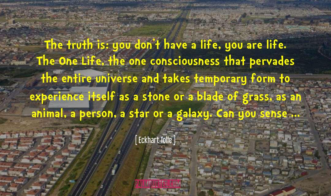 Blade Of Grass quotes by Eckhart Tolle