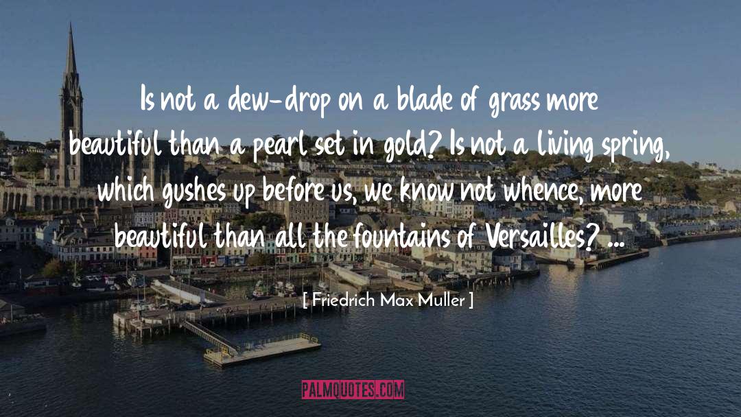 Blade Of Grass quotes by Friedrich Max Muller