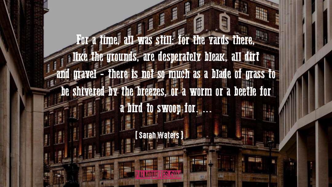 Blade Of Grass quotes by Sarah Waters