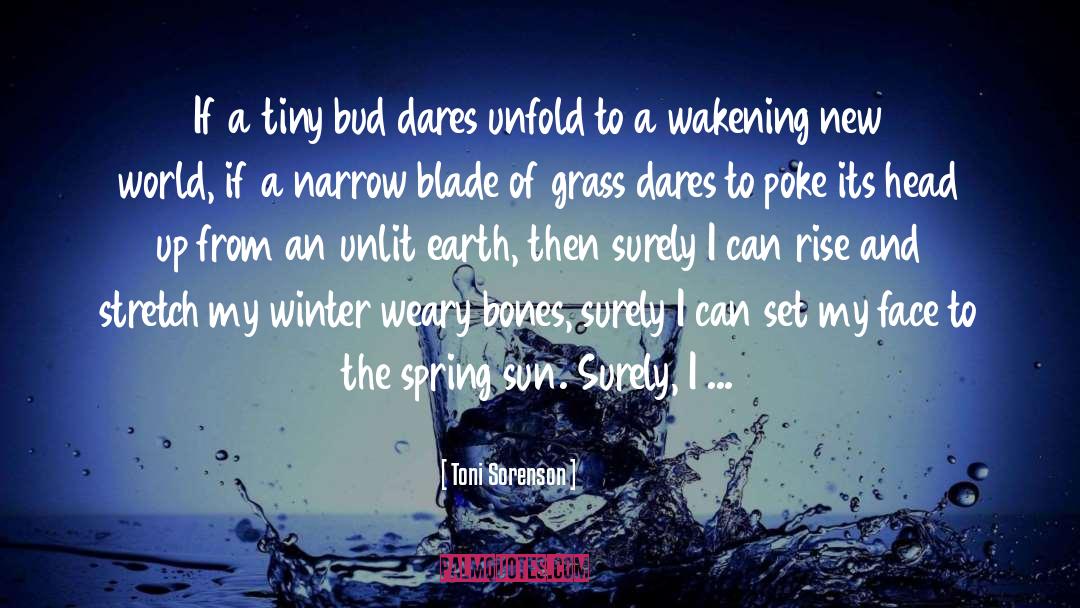 Blade Of Grass quotes by Toni Sorenson