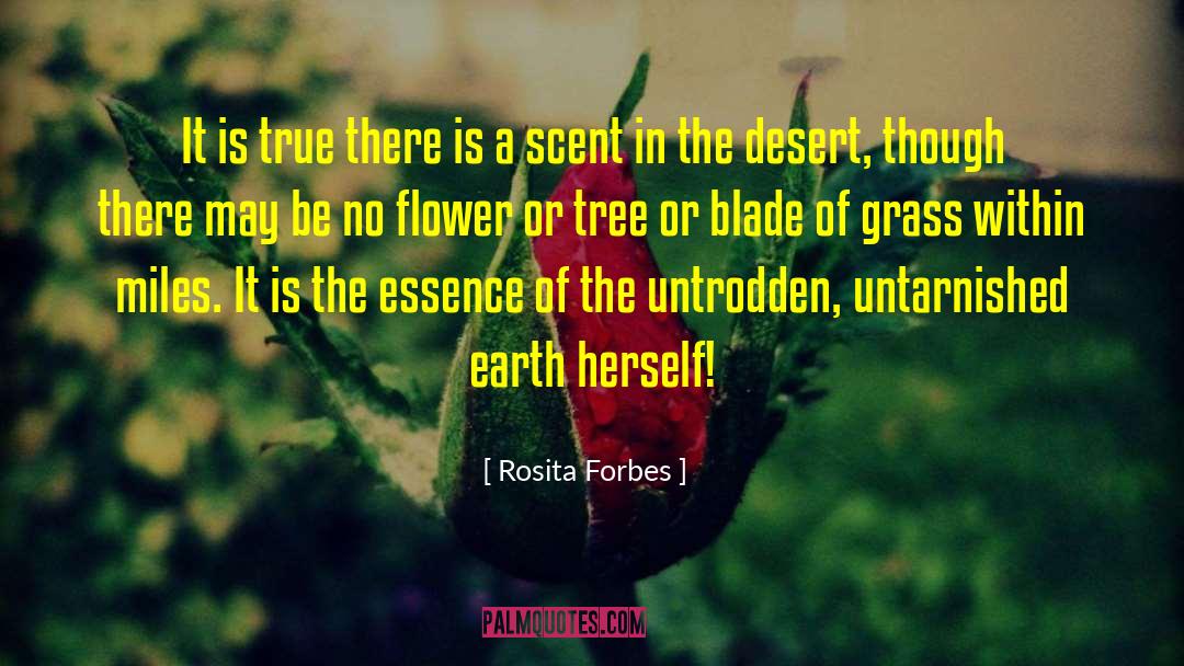 Blade Of Grass quotes by Rosita Forbes