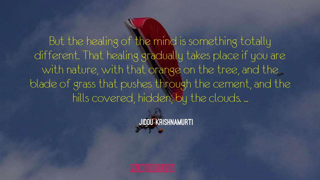 Blade Of Grass quotes by Jiddu Krishnamurti