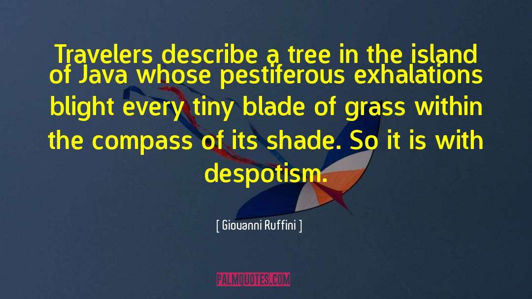 Blade Of Grass quotes by Giovanni Ruffini