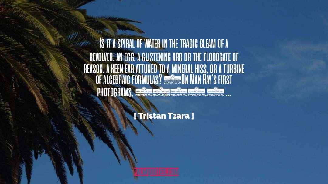 Bladeless Turbine quotes by Tristan Tzara