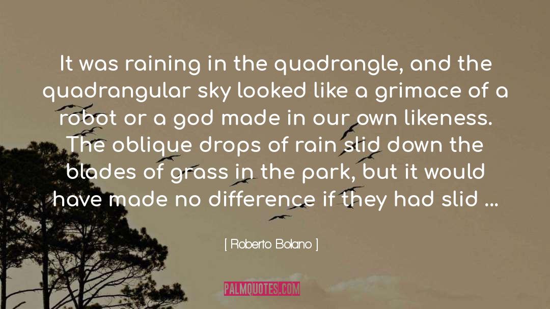 Blades Of Grass quotes by Roberto Bolano