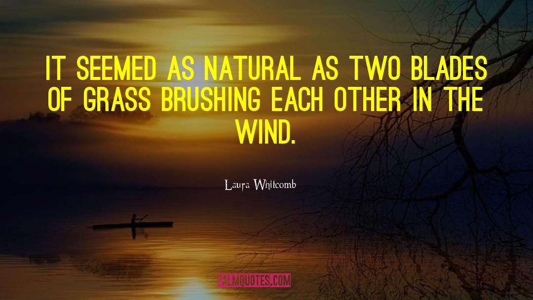 Blades Of Grass quotes by Laura Whitcomb