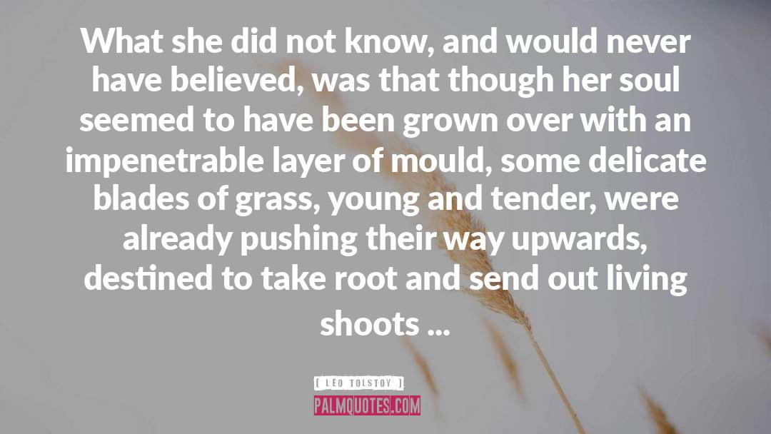 Blades Of Grass quotes by Leo Tolstoy