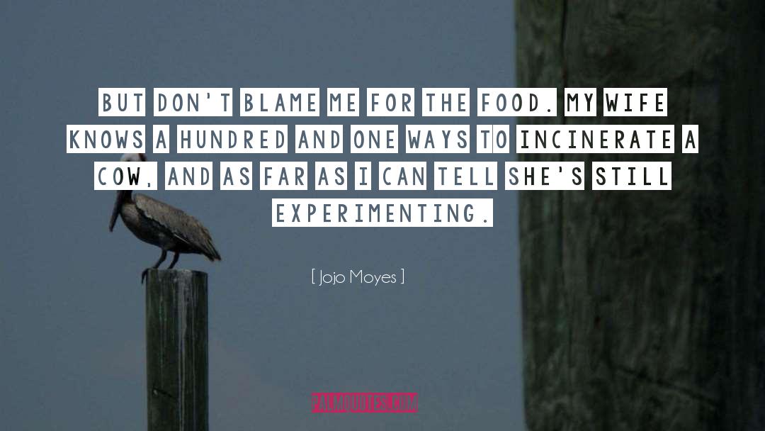 Blame Me quotes by Jojo Moyes
