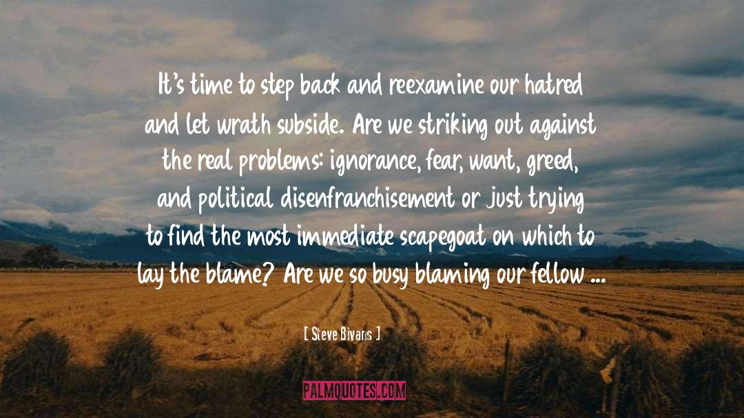 Blame Other quotes by Steve Bivans