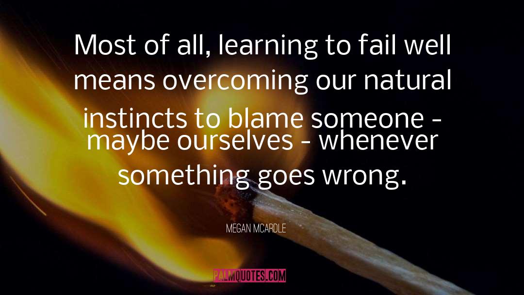 Blame Someone quotes by Megan McArdle