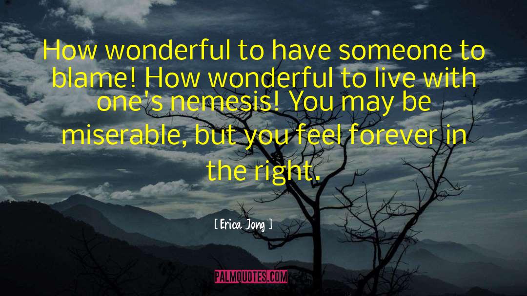 Blame Someone quotes by Erica Jong