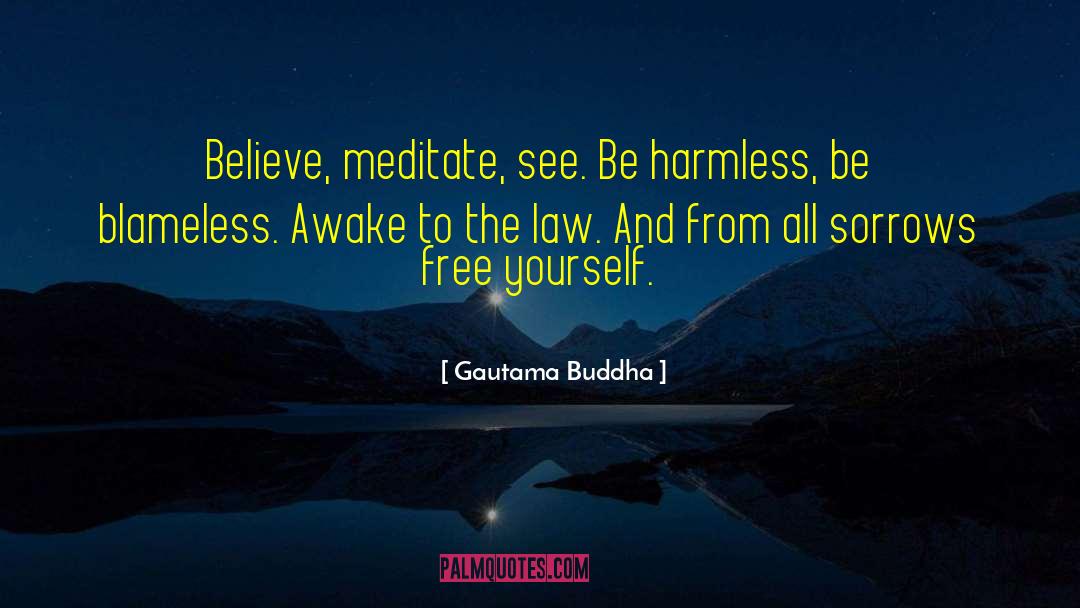 Blameless quotes by Gautama Buddha