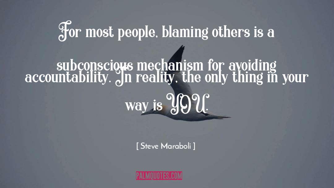 Blaming Others quotes by Steve Maraboli