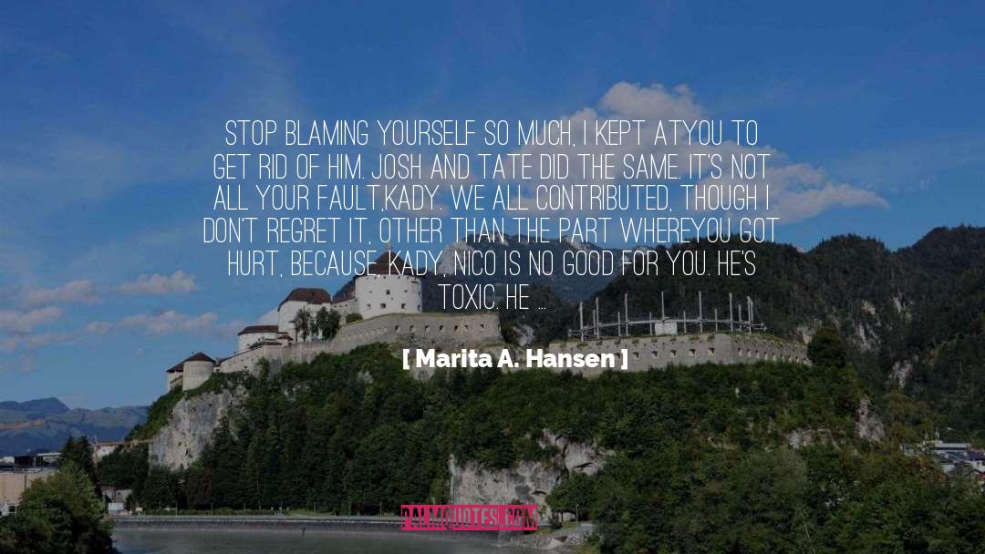 Blaming Yourself quotes by Marita A. Hansen