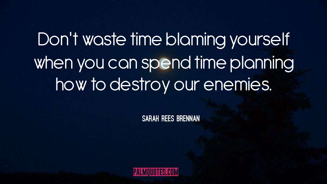Blaming Yourself quotes by Sarah Rees Brennan