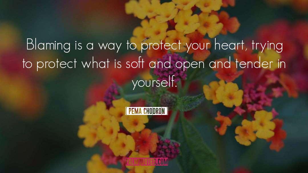Blaming Yourself quotes by Pema Chodron