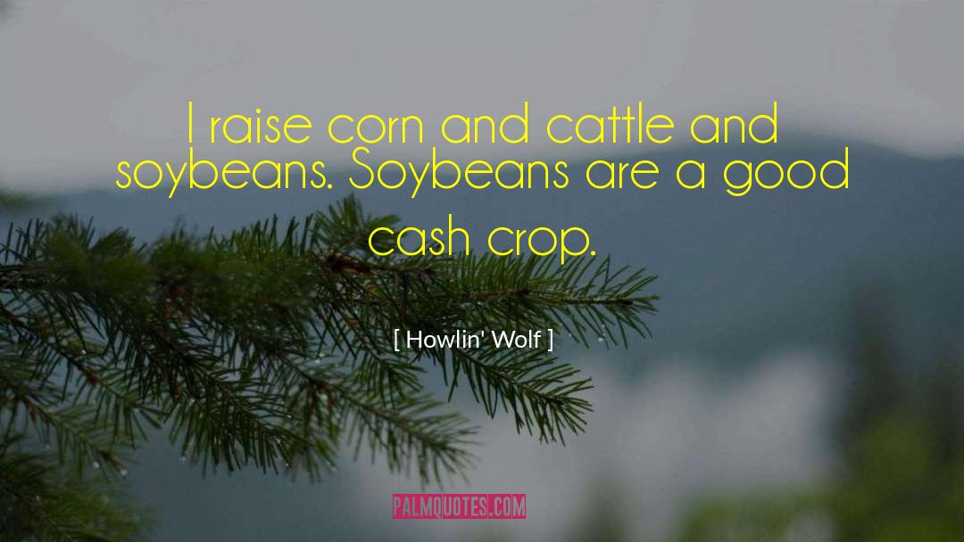 Blanching Corn quotes by Howlin' Wolf