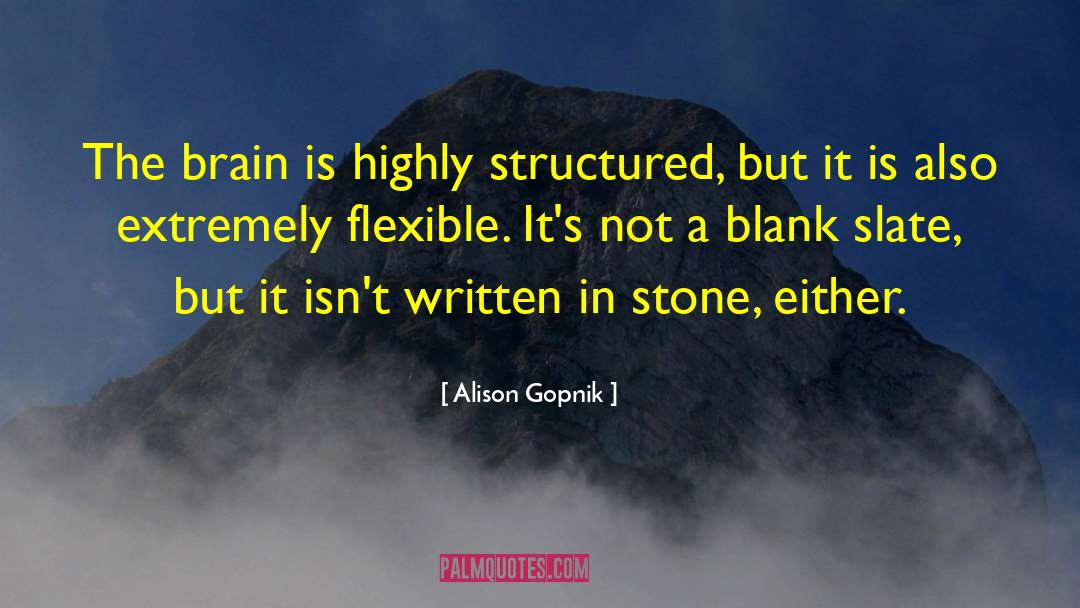 Blank Slate quotes by Alison Gopnik
