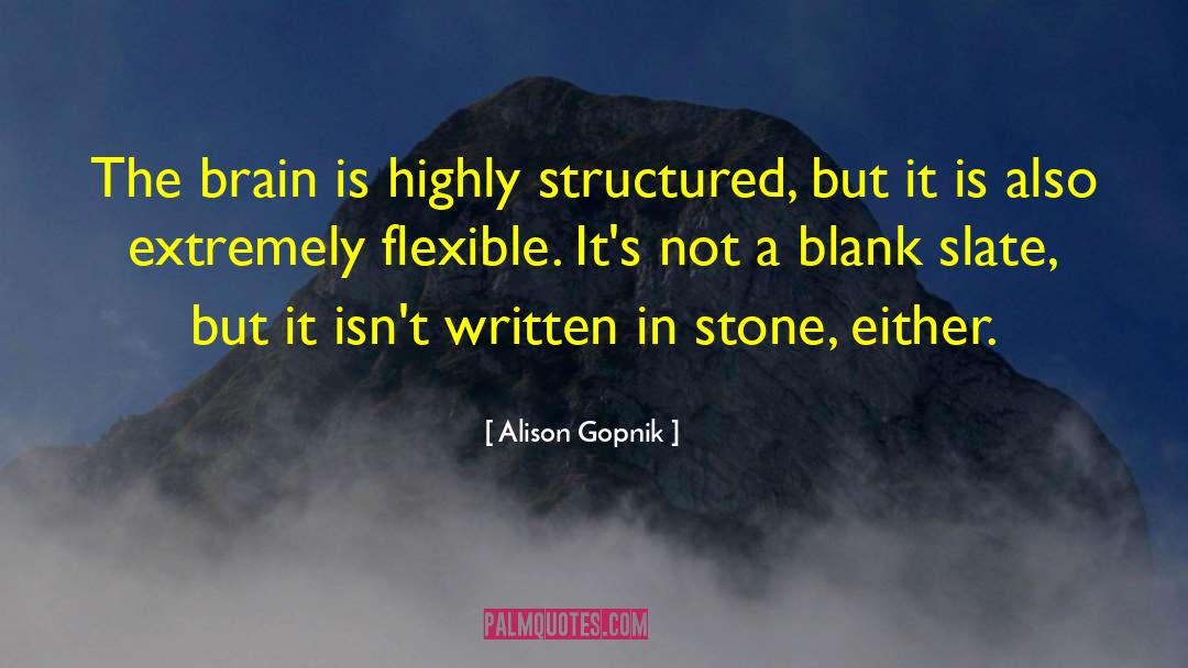 Blank Slates quotes by Alison Gopnik