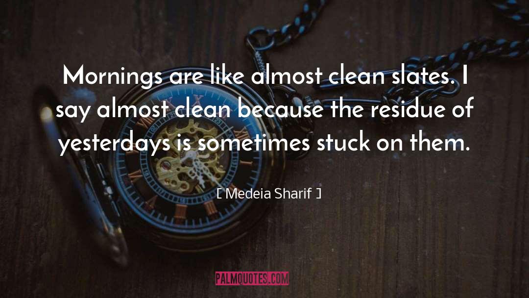 Blank Slates quotes by Medeia Sharif