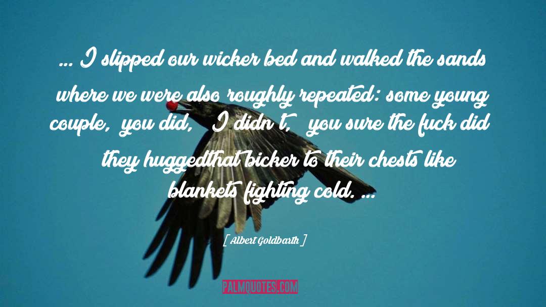 Blankets quotes by Albert Goldbarth