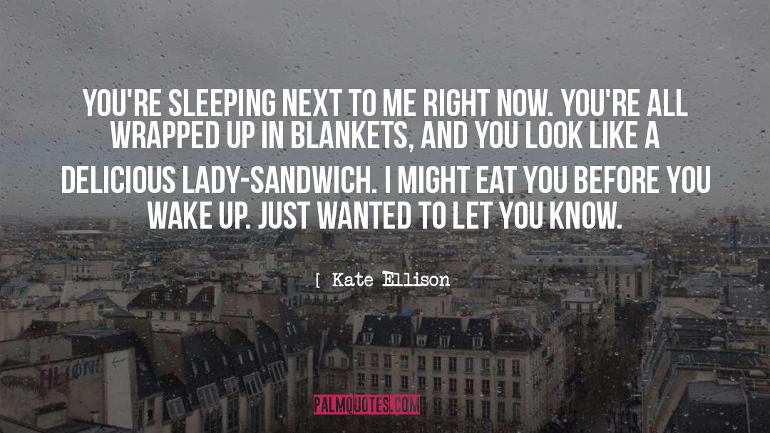 Blankets quotes by Kate Ellison