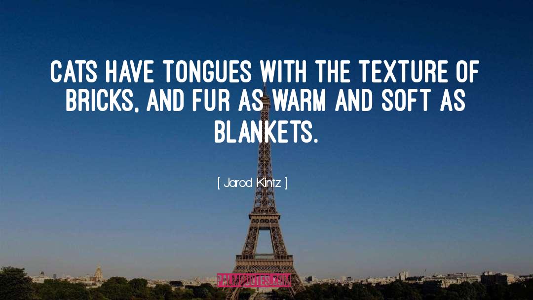 Blankets quotes by Jarod Kintz