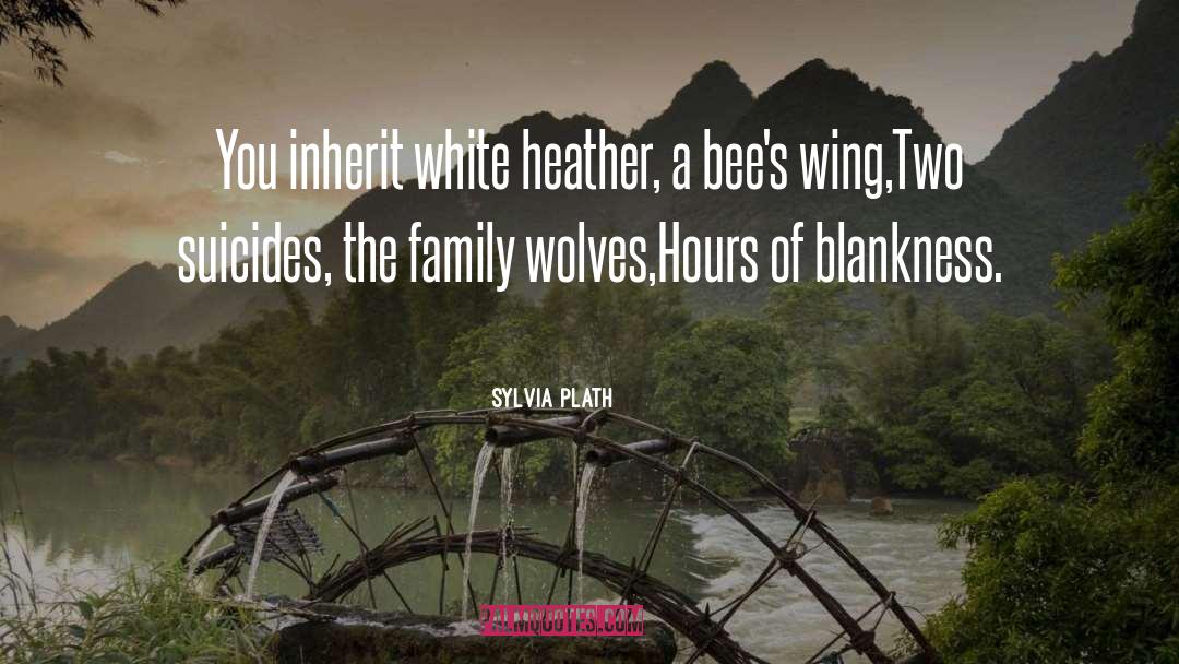 Blankness quotes by Sylvia Plath