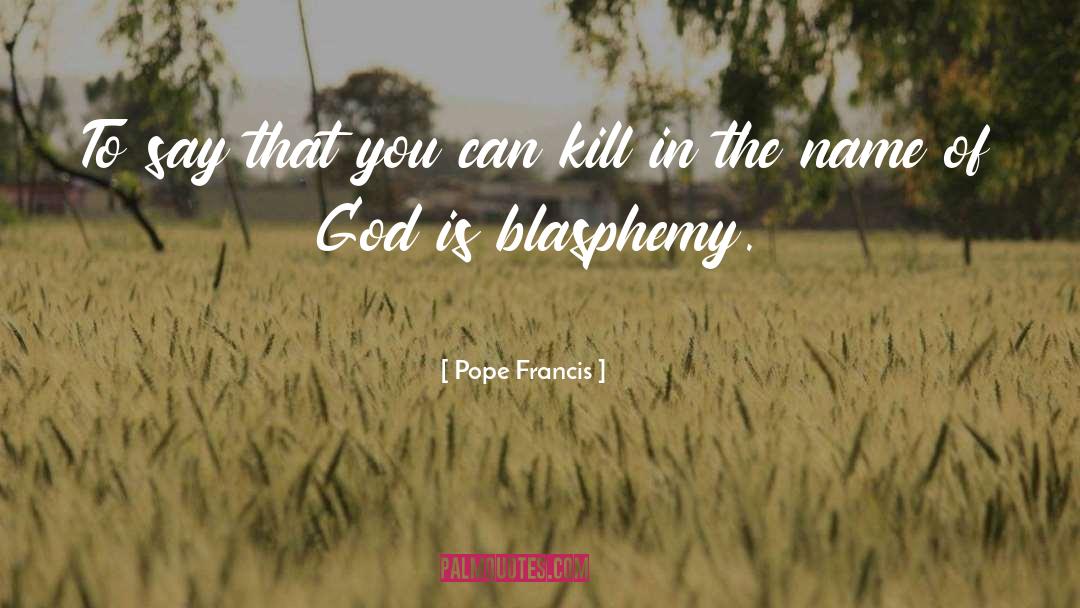 Blasphemy quotes by Pope Francis