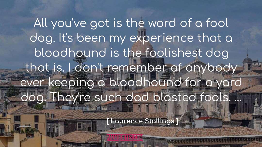 Blasted quotes by Laurence Stallings