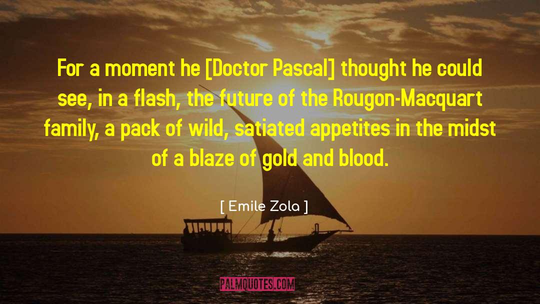 Blaze quotes by Emile Zola