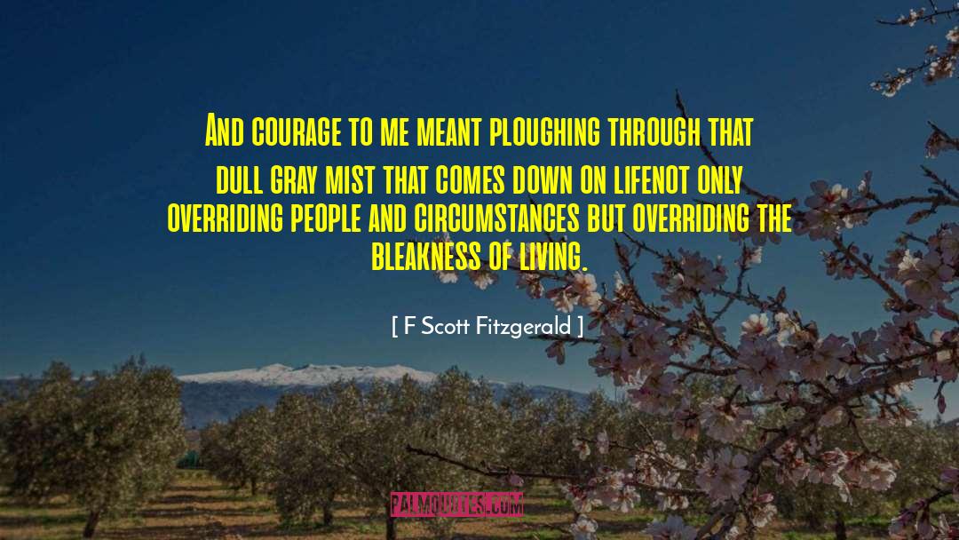 Bleakness quotes by F Scott Fitzgerald