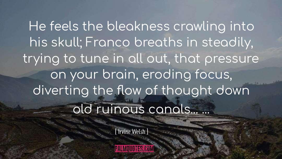 Bleakness quotes by Irvine Welsh