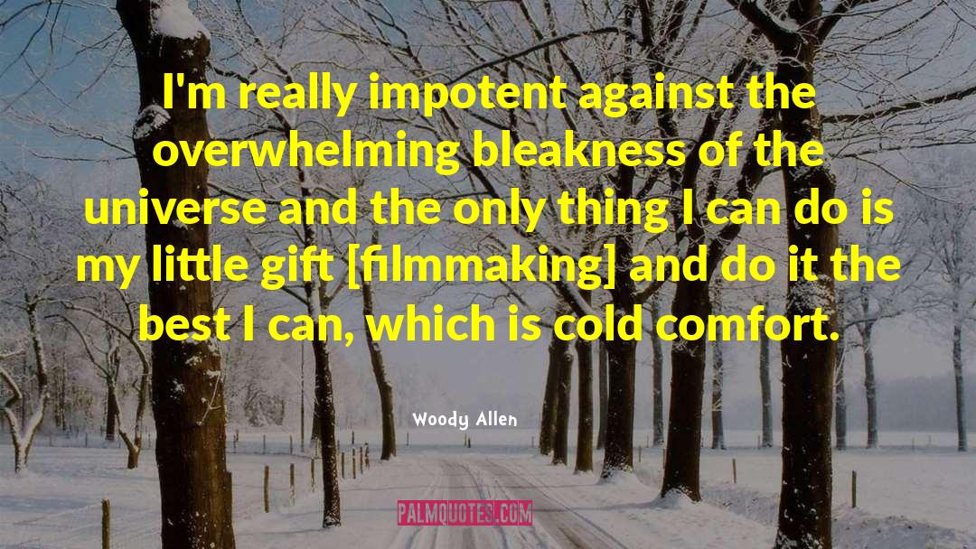 Bleakness quotes by Woody Allen