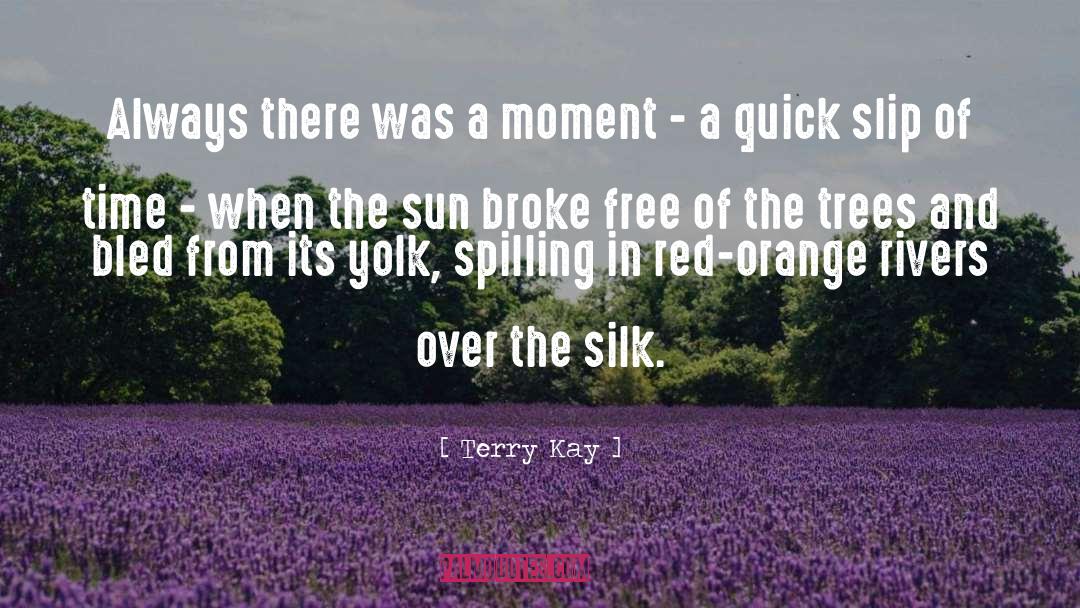 Bled quotes by Terry Kay