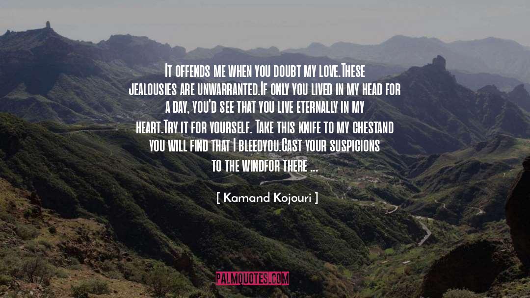 Bleed quotes by Kamand Kojouri