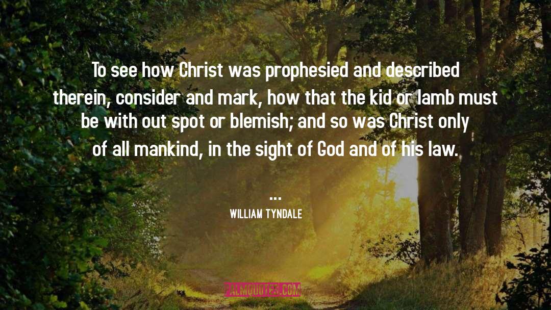 Blemish quotes by William Tyndale